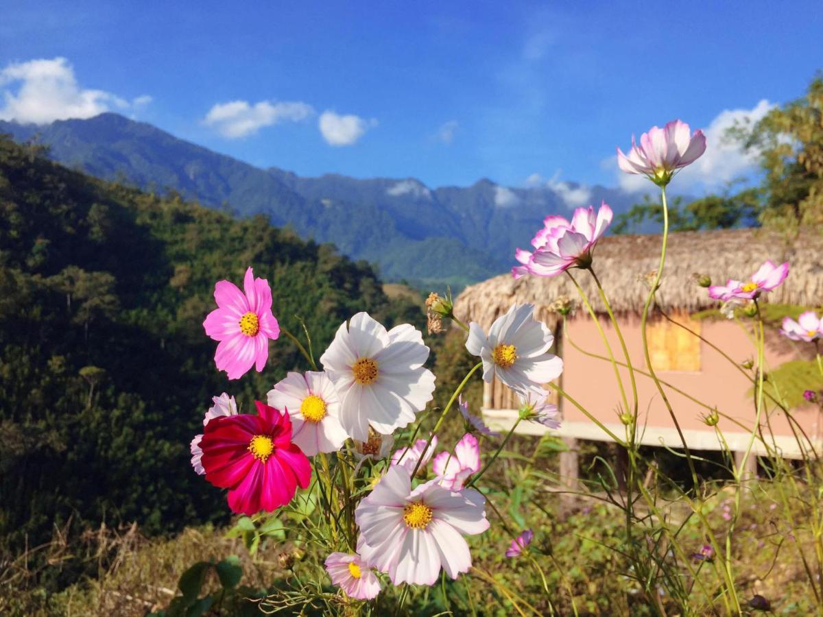 Chapa Farmstay - Mountain Retreat Sa Pa Luaran gambar