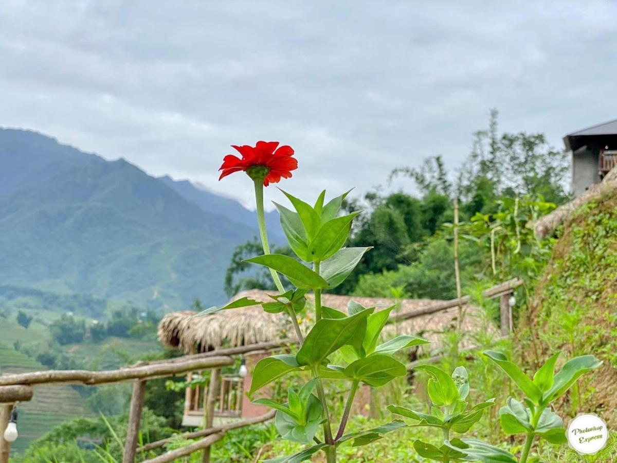 Chapa Farmstay - Mountain Retreat Sa Pa Luaran gambar