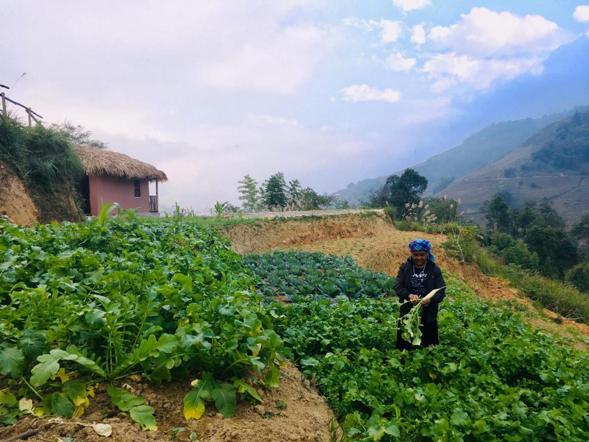 Chapa Farmstay - Mountain Retreat Sa Pa Luaran gambar