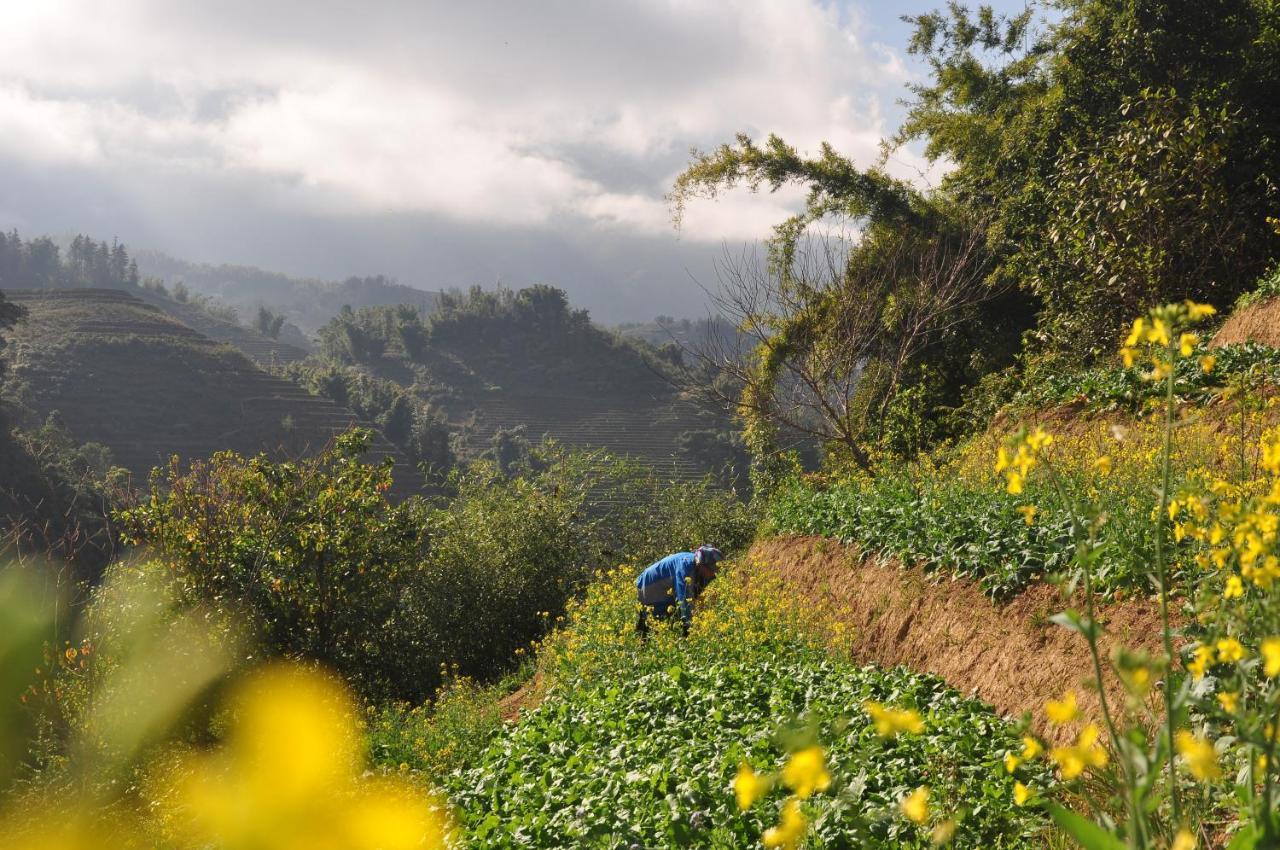 Chapa Farmstay - Mountain Retreat Sa Pa Luaran gambar